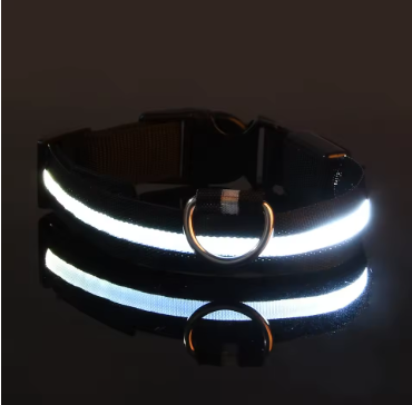 Led-Hundehalsband