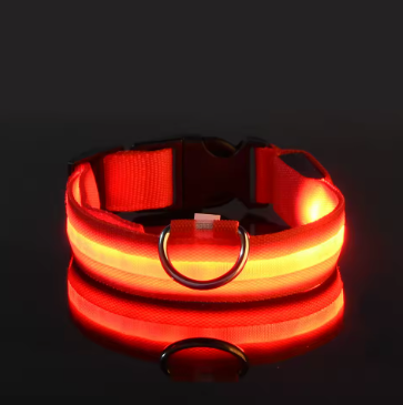 Led-Hundehalsband