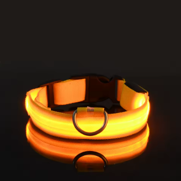 Led-Hundehalsband