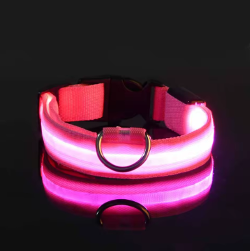 Led-Hundehalsband