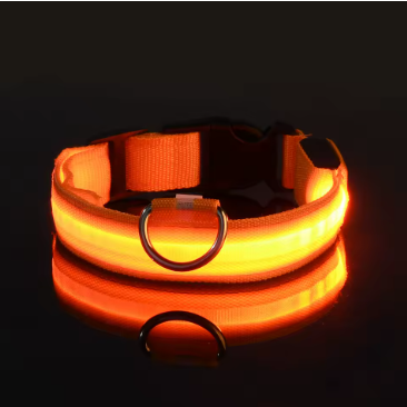 Led-Hundehalsband